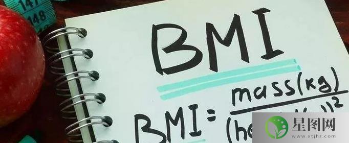 bmi指数是什么意思(bmi指数是什么意思如何计算)